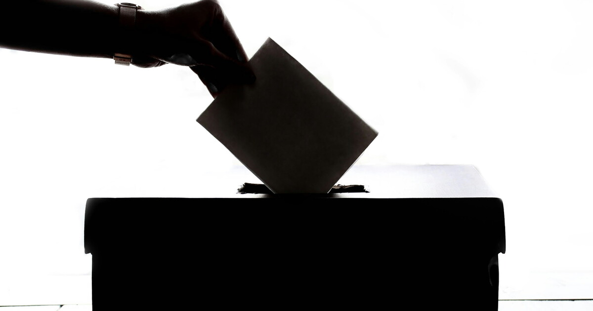 Alle elezioni dovrebbero votare solo i sedicenni Alle elezioni dovrebbero votare solo i sedicenni