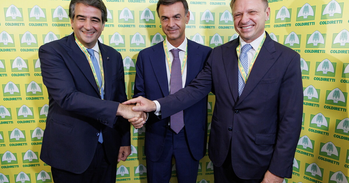 perch233 fitto spinge il governo a una svolta rapida sul mercosur