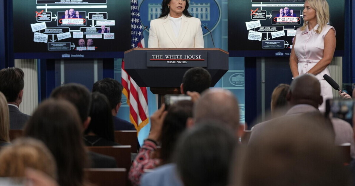 Tulsi Gabbard offre a Trump il più complotto più gradito: quello su Obama Tulsi Gabbard offre a Trump il più complotto più gradito: quello su Obama