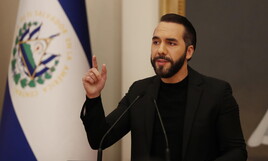 https://img-prod.ilfoglio.it/2025/08/01/182018273-ecad9fd0-7e77-43ff-97be-d75d494f562d.jpg