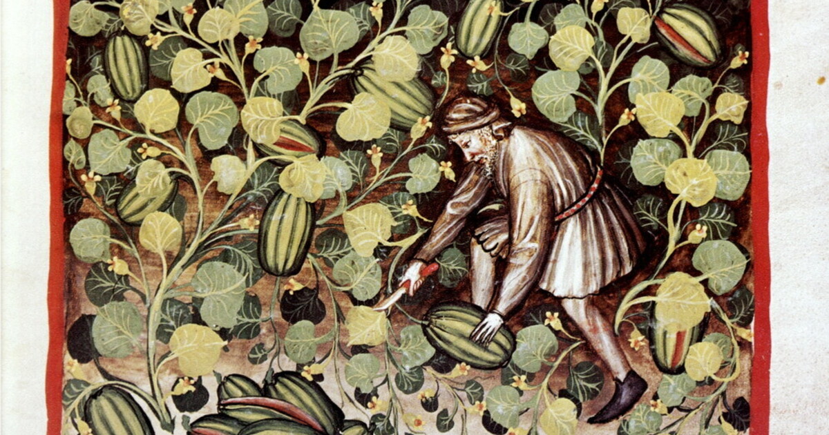 Cocomeri armati. Storie e guerre del re dei frutti