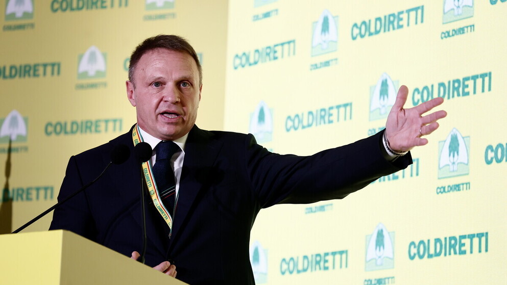 https://img-prod.ilfoglio.it/2025/08/19/172926852-01782bb5-ca1f-49c8-9d5d-70d9a8d38bb2.jpg