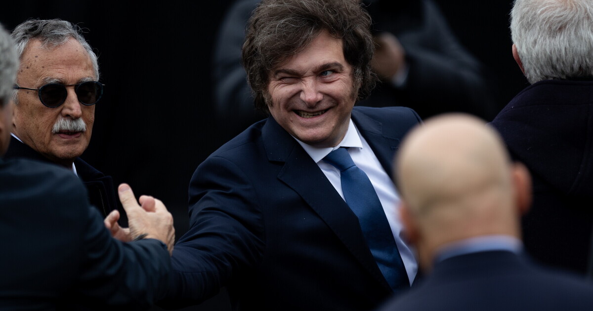 i limiti del modello di milei