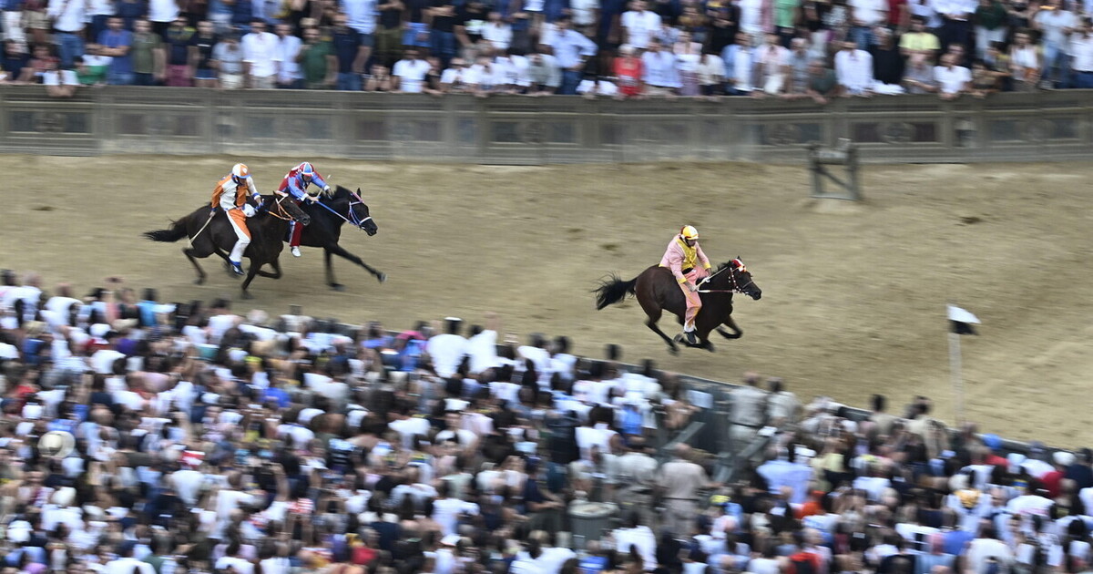 Un viaggio tra i segreti del Palio Un viaggio tra i segreti del Palio