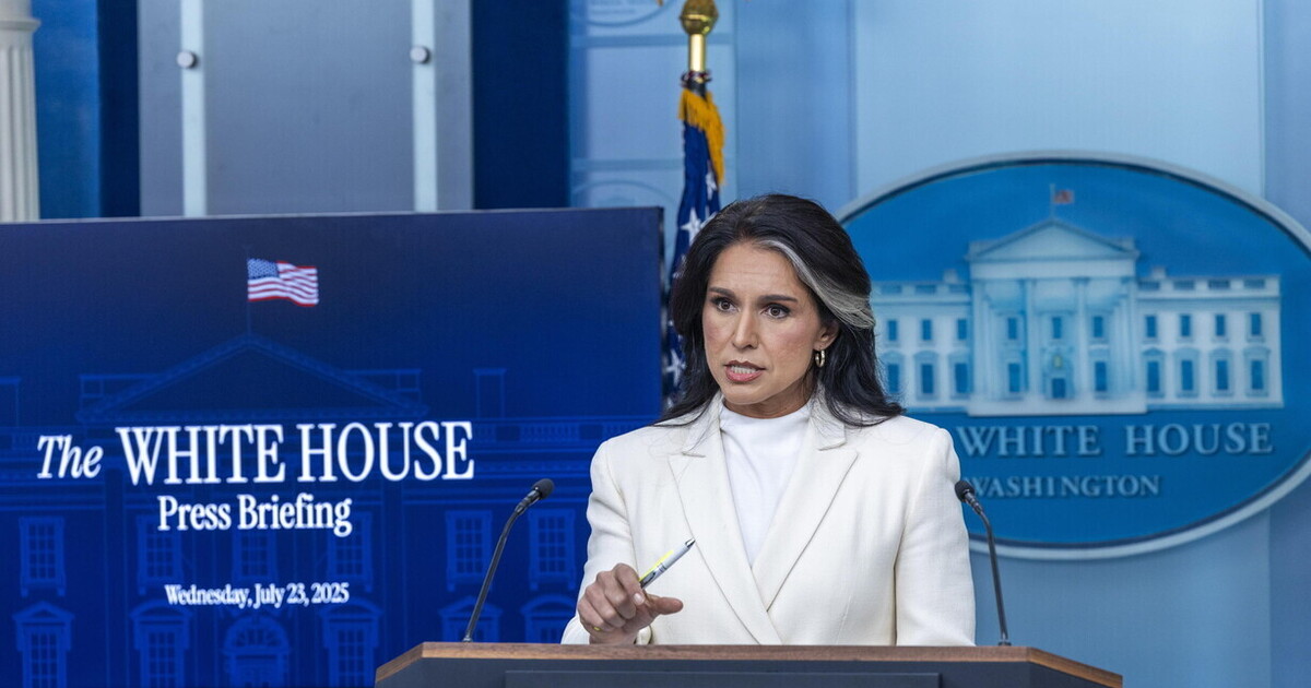 tulsi gabbard licenzia un8217esperta di russia della cia l8217epurazione della competenza