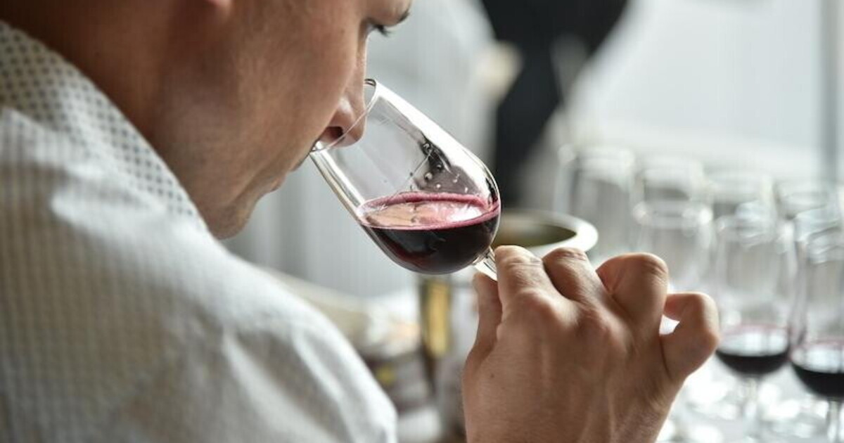 il lambrusco ancestrale che piace alla sinistra unico nettare degno di me conservatore solitario