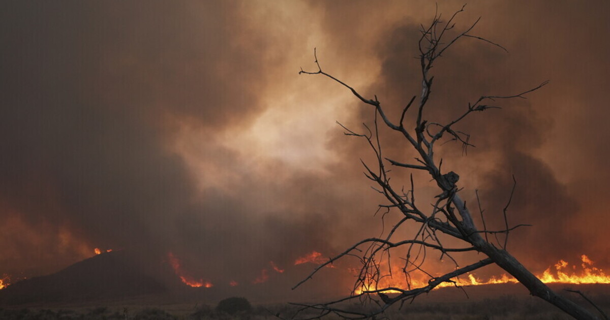 Dopo gli incendi Los Angeles sarà solo dei ricchissimi Dopo gli incendi Los Angeles sarà solo dei ricchissimi
