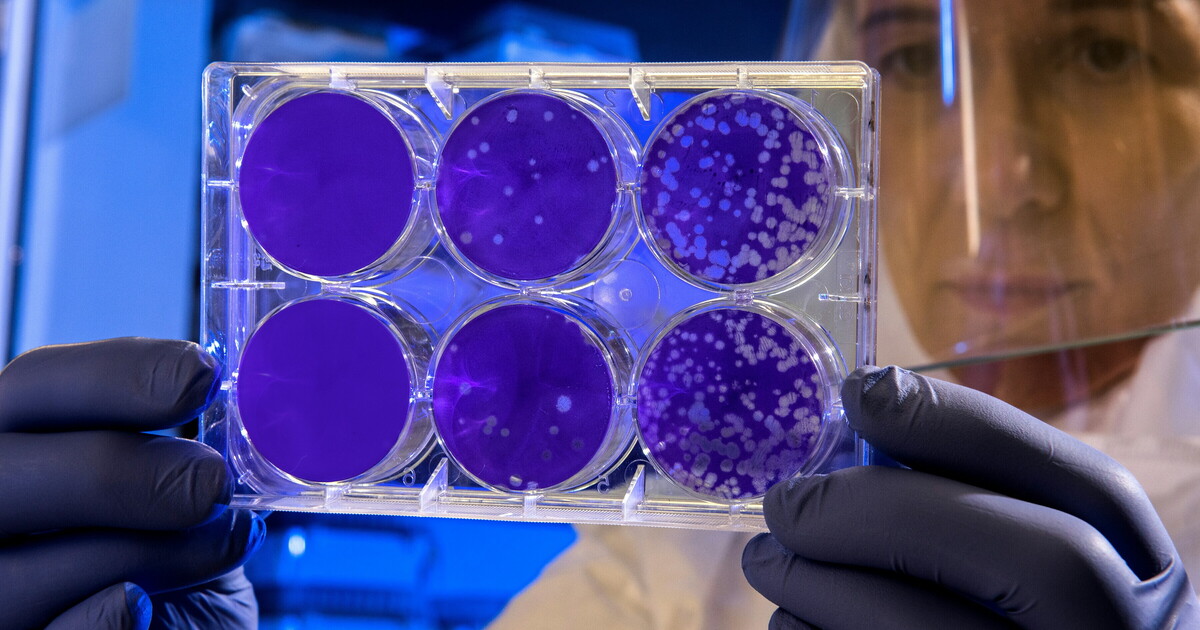 Siamo fatti (anche) di virus Siamo fatti (anche) di virus