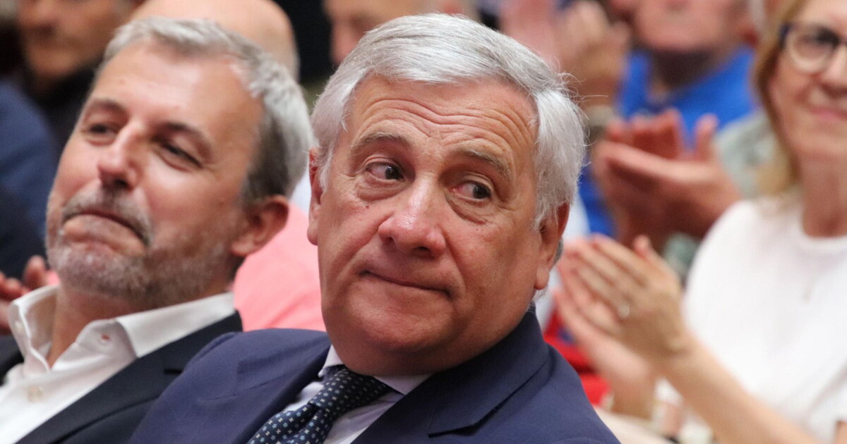 Dove va Forza Italia. “Con il nuovo manifesto lanciamo una sfida al paese”, dice Nevi