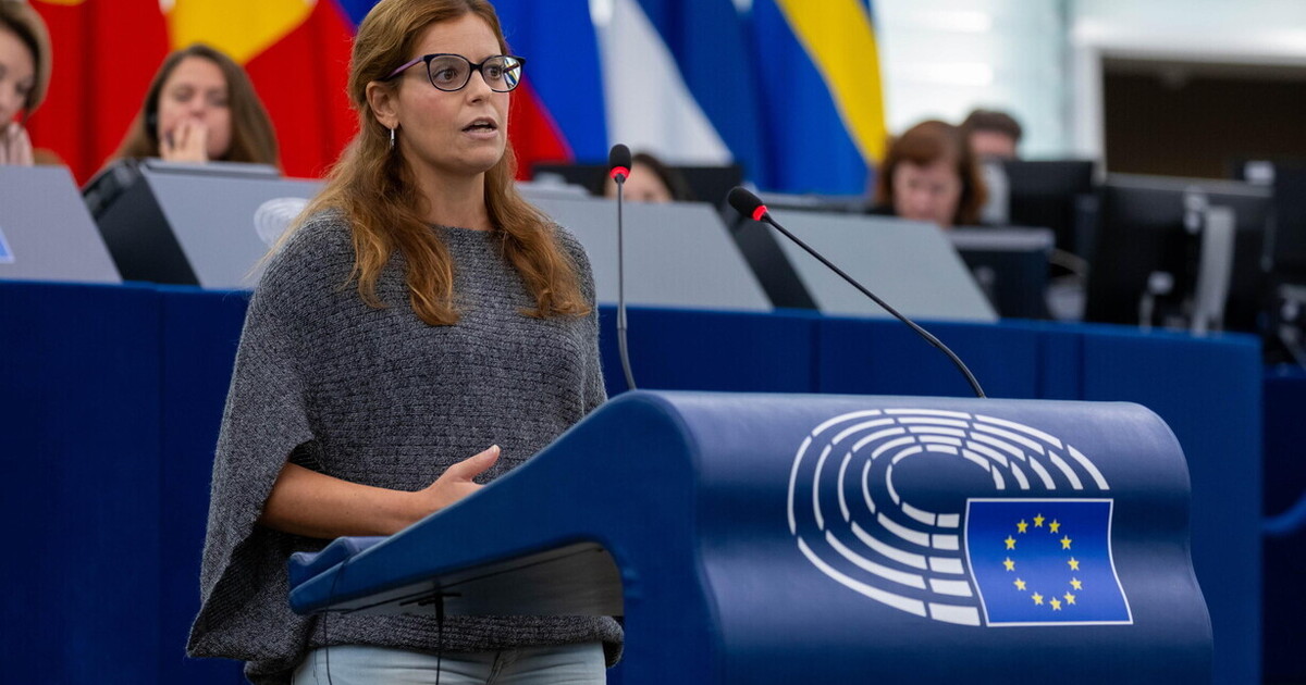 tra garantismo e rischio cortocircuito a destra al parlamento ue il voto sull immunit224 di salis