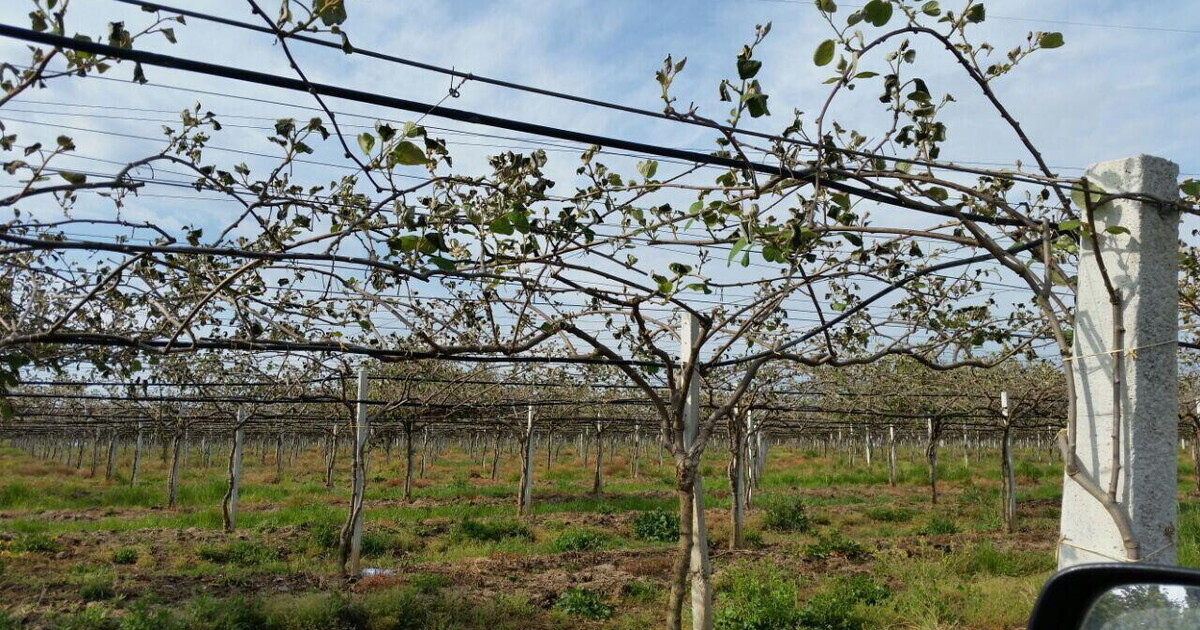 le sagre d autunno nel lazio ecco dove andare