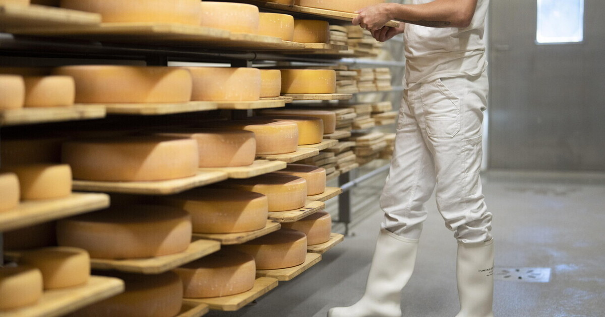 Il successo del formaggio dimostra che l