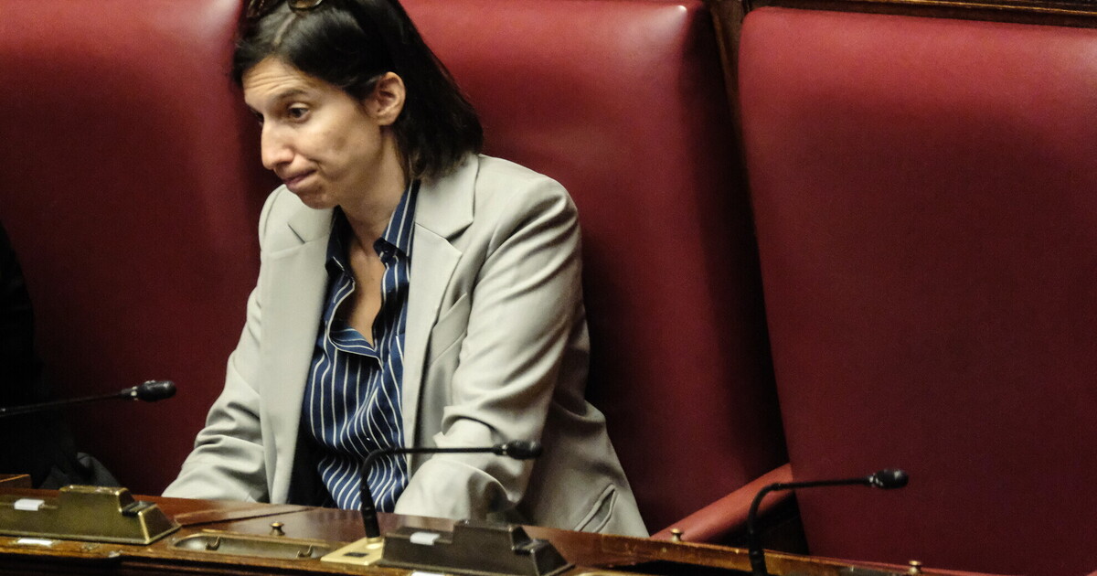 Schlein senza Marche. Vince Acquaroli (e Meloni). Crollo M5s. Nessun "Effetto Gaza". Picierno: "Non siamo pronti"