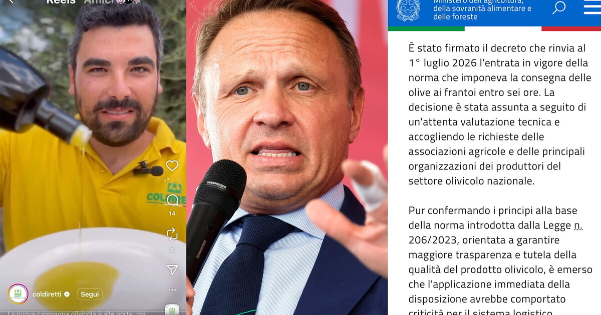 La retromarcia di Lollobrigida sulla legge delle olive