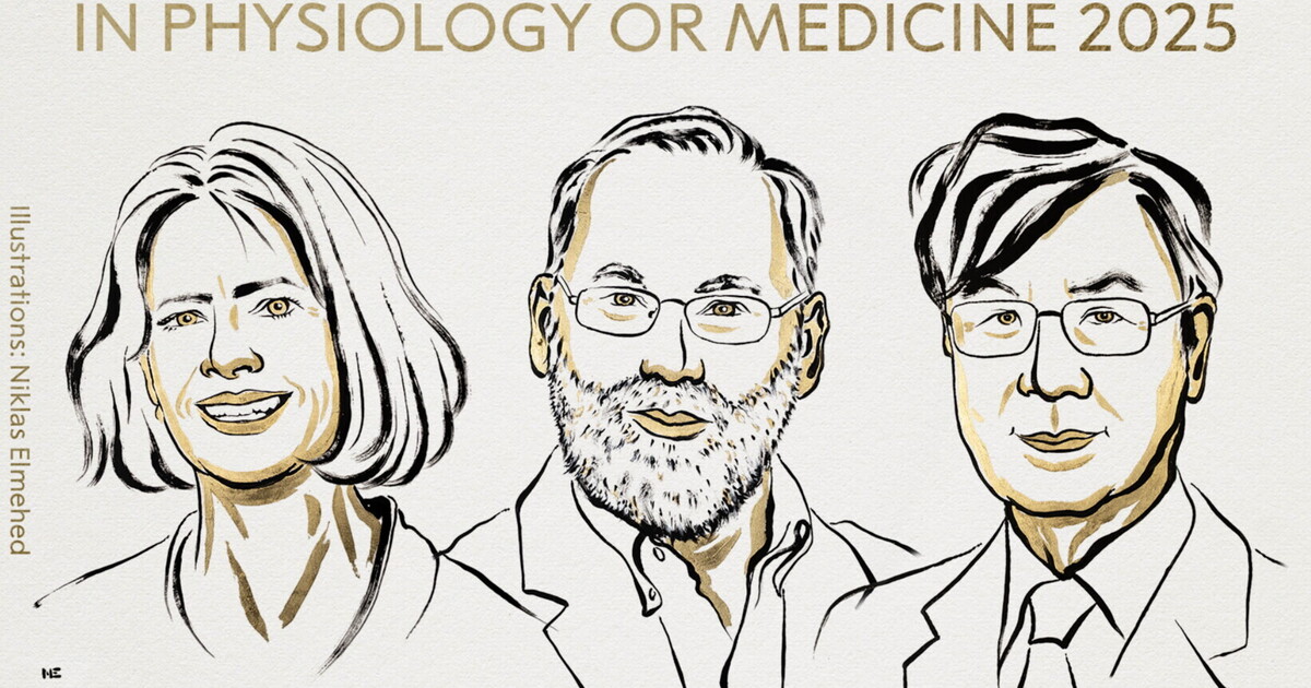 Il Nobel per la Medicina va a Brunkow, Ramsdell e Sakaguchi