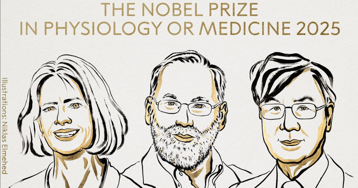 Il segreto delle cellule che frenano l’immunità svelato dai Nobel per la Medicina 2025