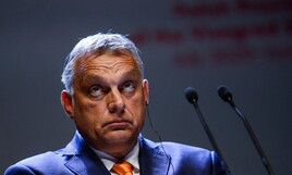 https://img-prod.ilfoglio.it/2025/10/09/130520399-b07297d0-6840-4699-a150-b68e647935fc.jpg