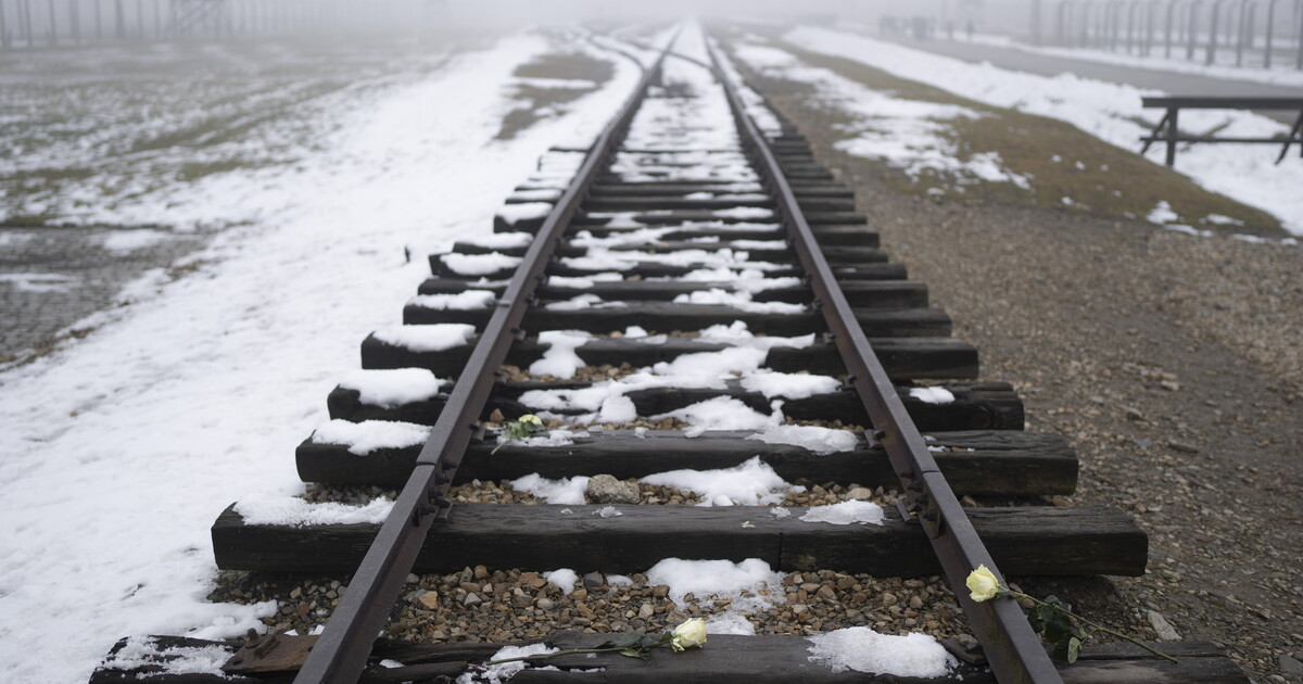 Le parole improvvide di Roccella su Auschwitz e la lezione di Guccini Le parole improvvide di Roccella su Auschwitz e la lezione di Guccini