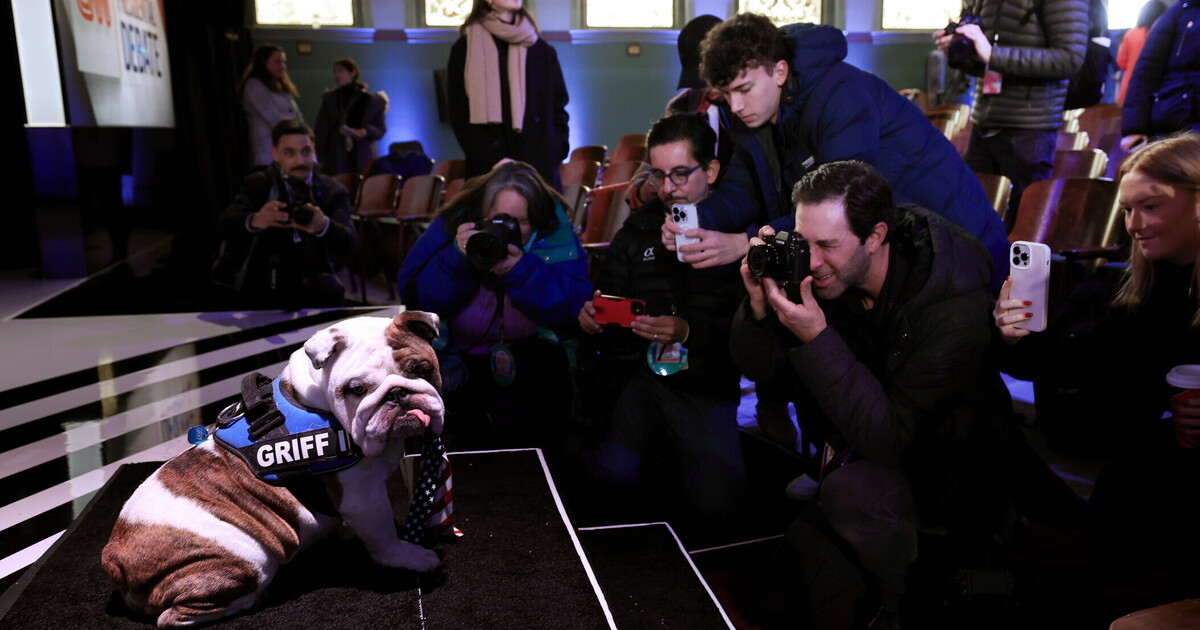Amico bulldog. Così politici e celebrità si sono innamorati Amico bulldog. Così politici e celebrità si sono innamorati
