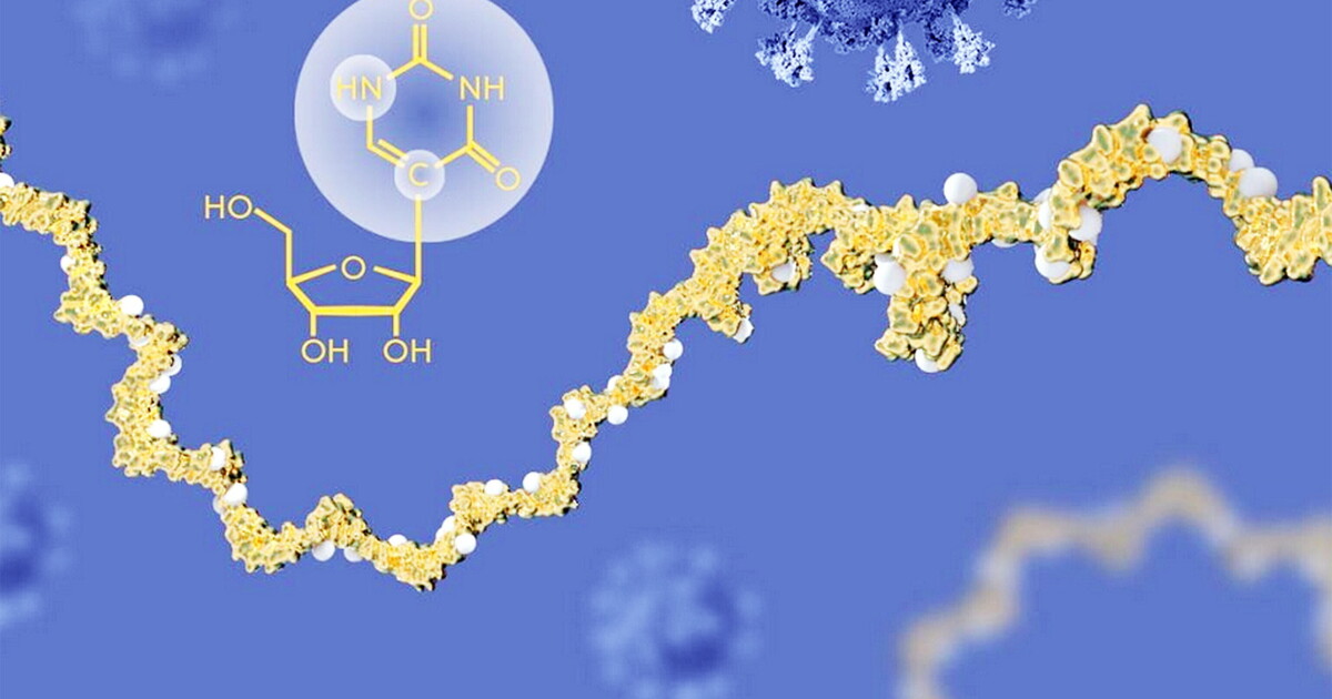 Un vaccino basato su mRNA potrebbe aiutare il sistema immunitario contro il cancro Un vaccino basato su mRNA potrebbe aiutare il sistema immunitario contro il cancro