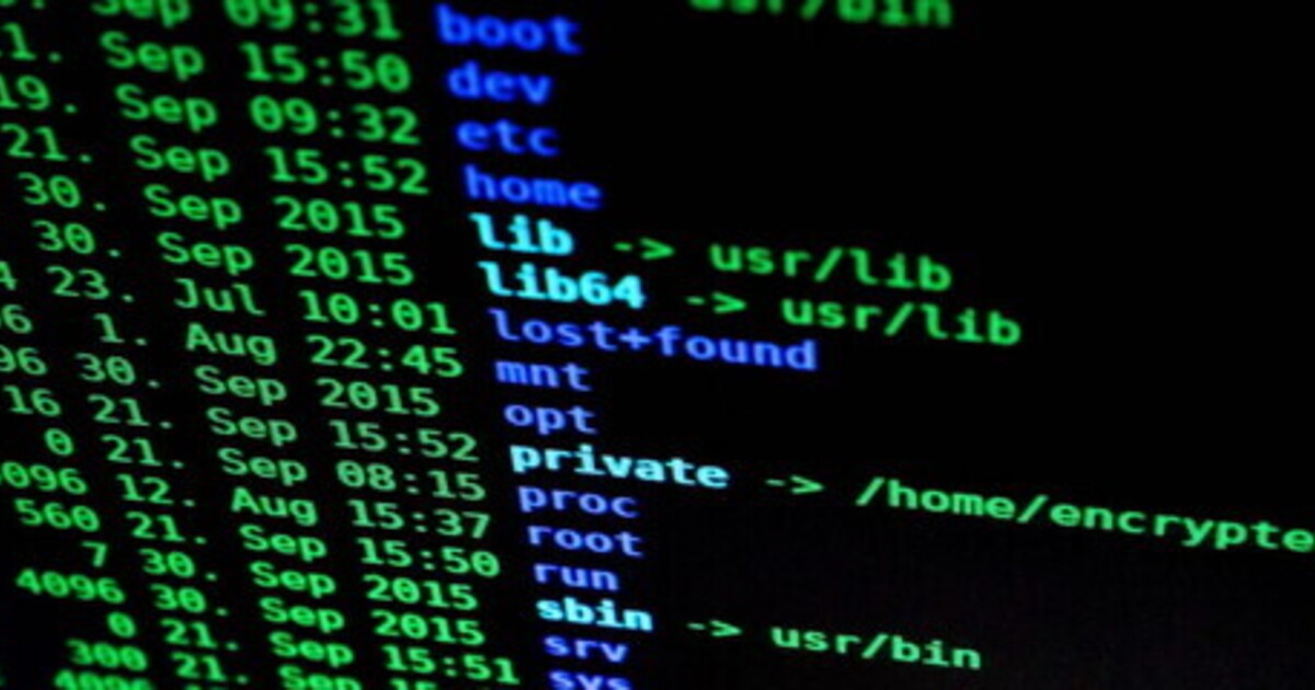fabbriche troll 20 un8217operazione europol in lettonia e l8217ombra della guerra ibrida nelle sim farm