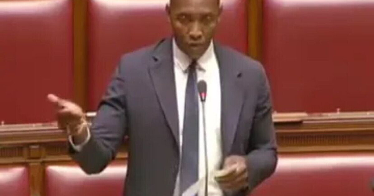 Soumahoro: "Esiste il diritto a non emigrare e a rimpatriare, ma la sinistra della ztl non lo capisce" Soumahoro: "Esiste il diritto a non emigrare e a rimpatriare, ma la sinistra della ztl non lo capisce"
