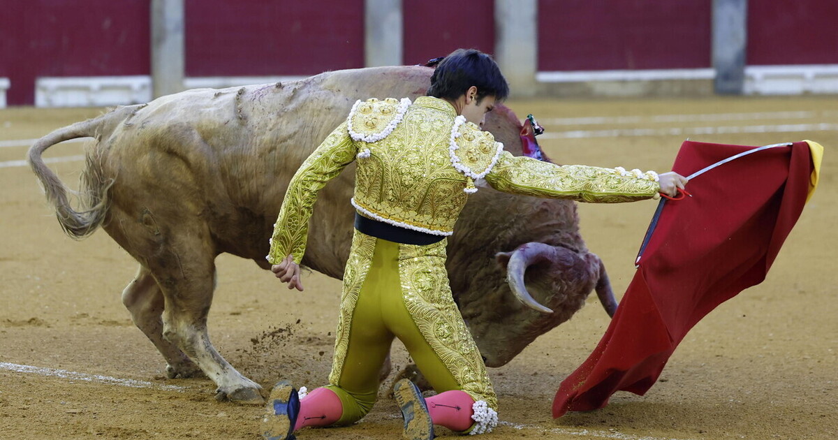 La corrida, come il cinema, ci espone al mistero della natura indifferente