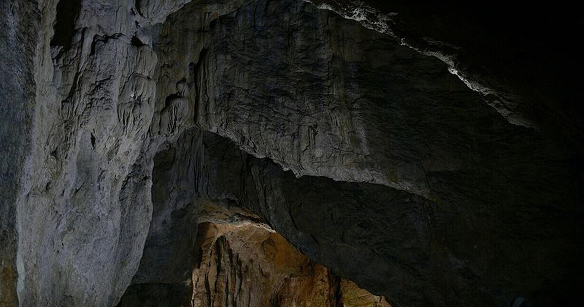 La parola migrante evoca paura, ma la nostra esistenza è il risultato di un’antica catena di spostamenti La parola migrante evoca paura, ma la nostra esistenza è il risultato di un’antica catena di spostamenti