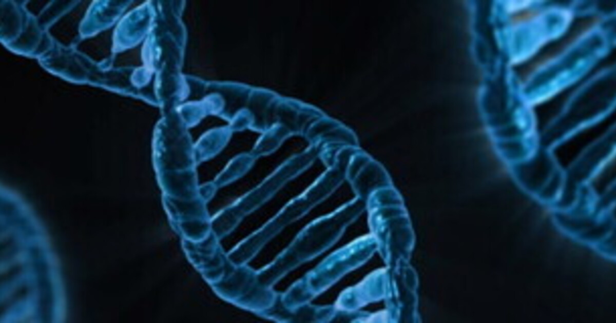 L’IA che scioglie la plastica. Ecco l L’IA che scioglie la plastica. Ecco l