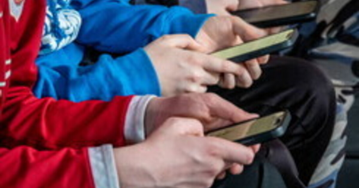 Le piattaforme digitali amplificano i nostri istinti tribali Le piattaforme digitali amplificano i nostri istinti tribali