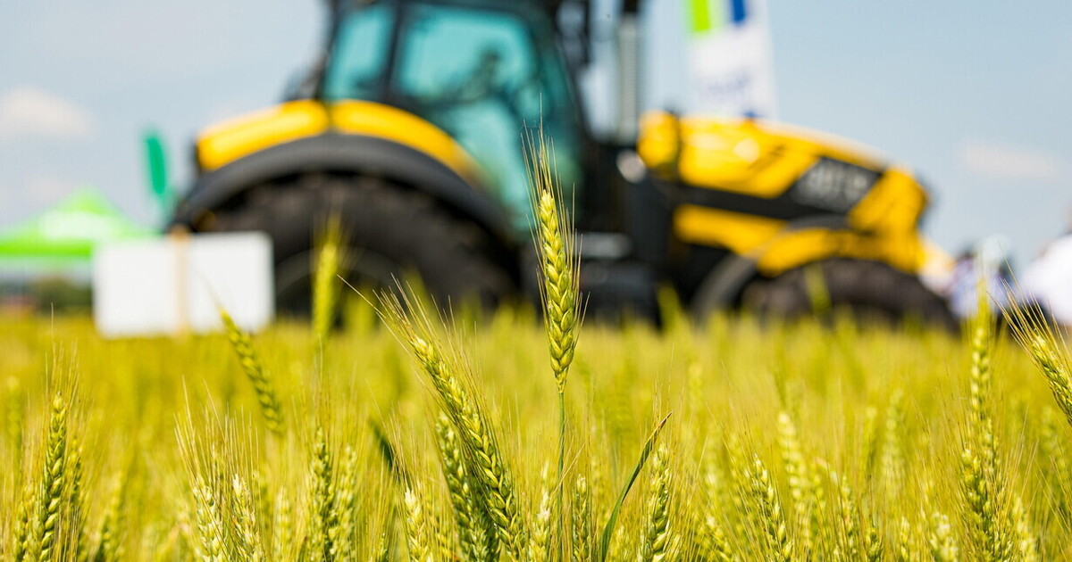 Gli occupati agricoli under 35 aumentano del 18 per cento. Buona notizia? Solo in parte