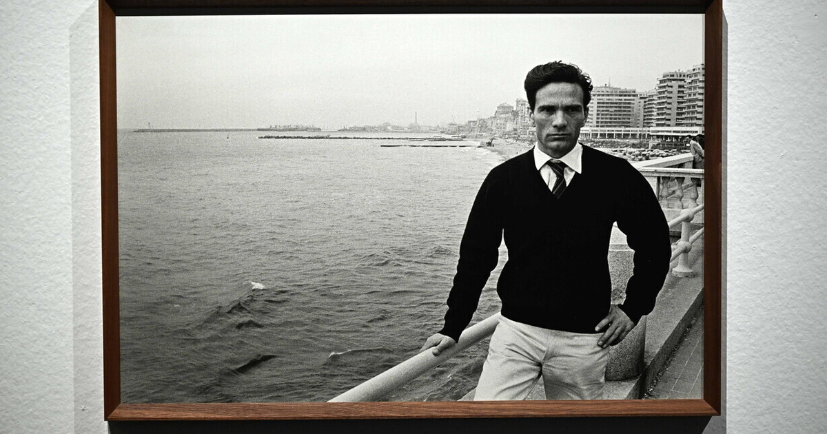 Articolesse bollite su Pier Paolo Pasolini Articolesse bollite su Pier Paolo Pasolini