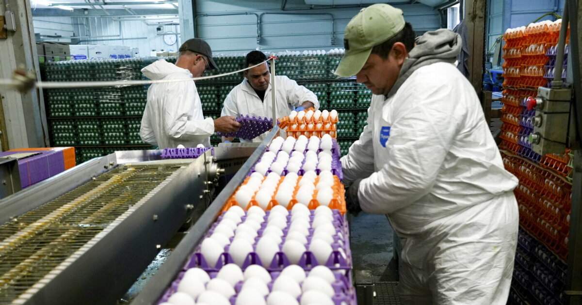 Non sono stati gli allevamenti ad alimentare l