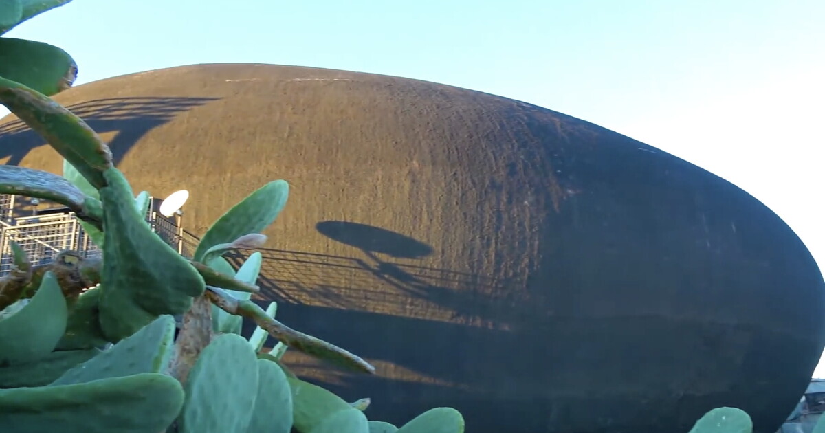 Quel pasticciaccio brutto del cutuliscio