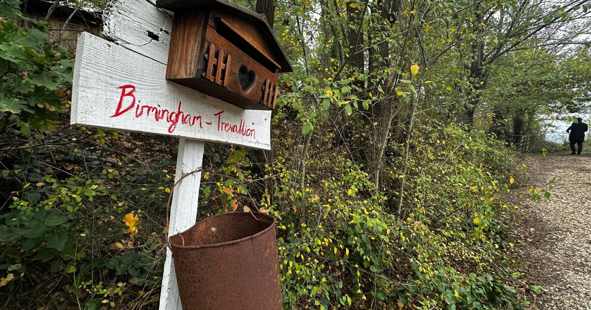 Sui bambini nel bosco per una volta ha ragione Salvini Sui bambini nel bosco per una volta ha ragione Salvini