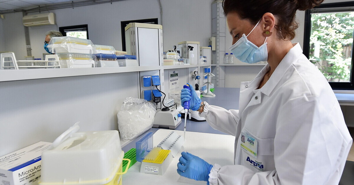 Quando scienza e democrazia cooperano, una società acquisisce la capacità dell’autocorrezione Quando scienza e democrazia cooperano, una società acquisisce la capacità dell’autocorrezione