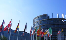 L’asse gialloverde si ricompone a Strasburgo sulla cessione dei territori ucraini alla Russia