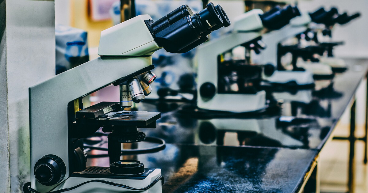 La scelta del Cnrs ci dice che un sistema scientifico basato sulle sue competenze è ancora possibile La scelta del Cnrs ci dice che un sistema scientifico basato sulle sue competenze è ancora possibile