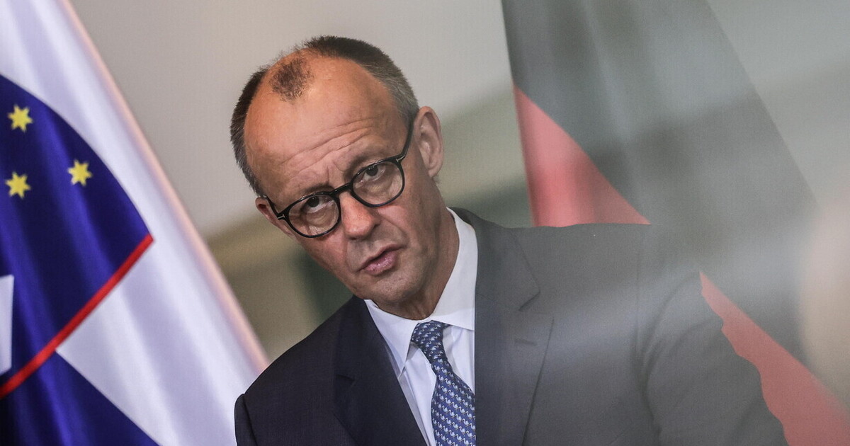 afd primo partito in germania e le sfide di merz per recuperare i consensi