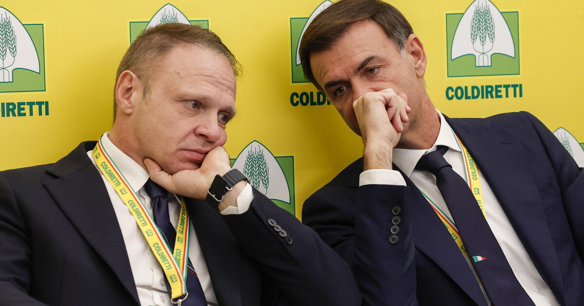 il riso 232 la nuova grana di lollobrigida centinaio lega l accordo ue 232 un colpo di grazia per gli italiani