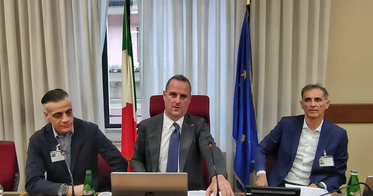Cicalone in Parlamento (in audizione)
