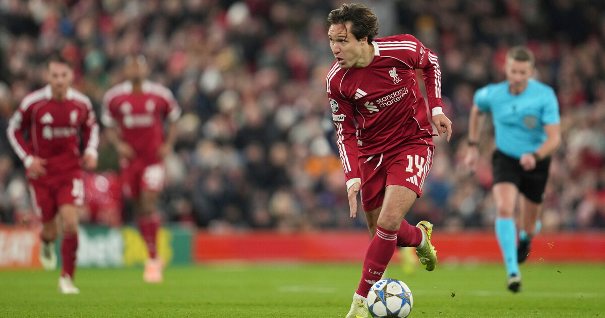 ci voleva trump a restituirci l8217amore per il calcio da Ilfoglio.it ci voleva trump a restituirci l8217amore per il calcio