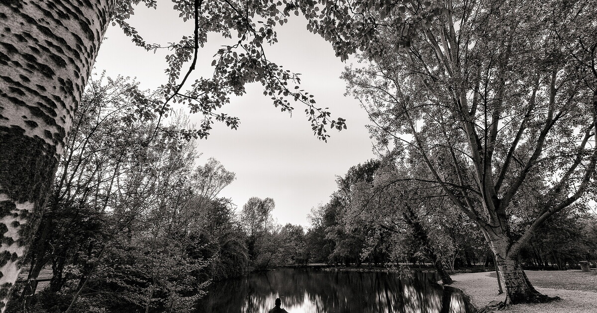 Il lato comico, sadico e pungente di tre vite che galleggiano sui rimpianti Il lato comico, sadico e pungente di tre vite che galleggiano sui rimpianti