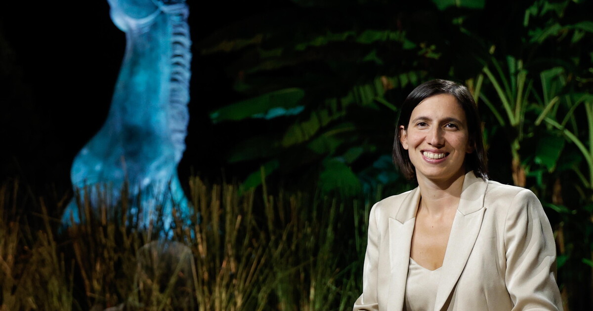 ecco la proposta che unisce davvero tutto il pd vietato mangiare la carne di cavallo da Ilfoglio.it ecco la proposta che unisce davvero tutto il pd vietato mangiare la carne di cavallo