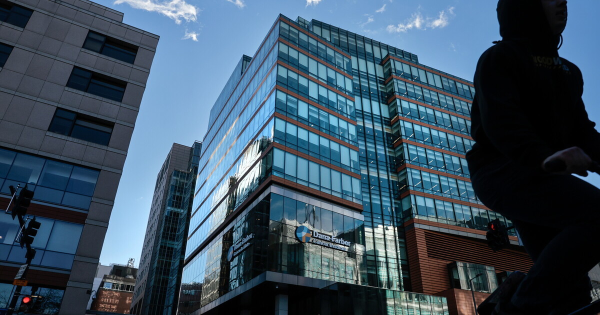 quando denunciare conviene i rischi di un8217integrit224 guidata dal profitto da Ilfoglio.it quando denunciare conviene i rischi di un8217integrit224 guidata dal profitto