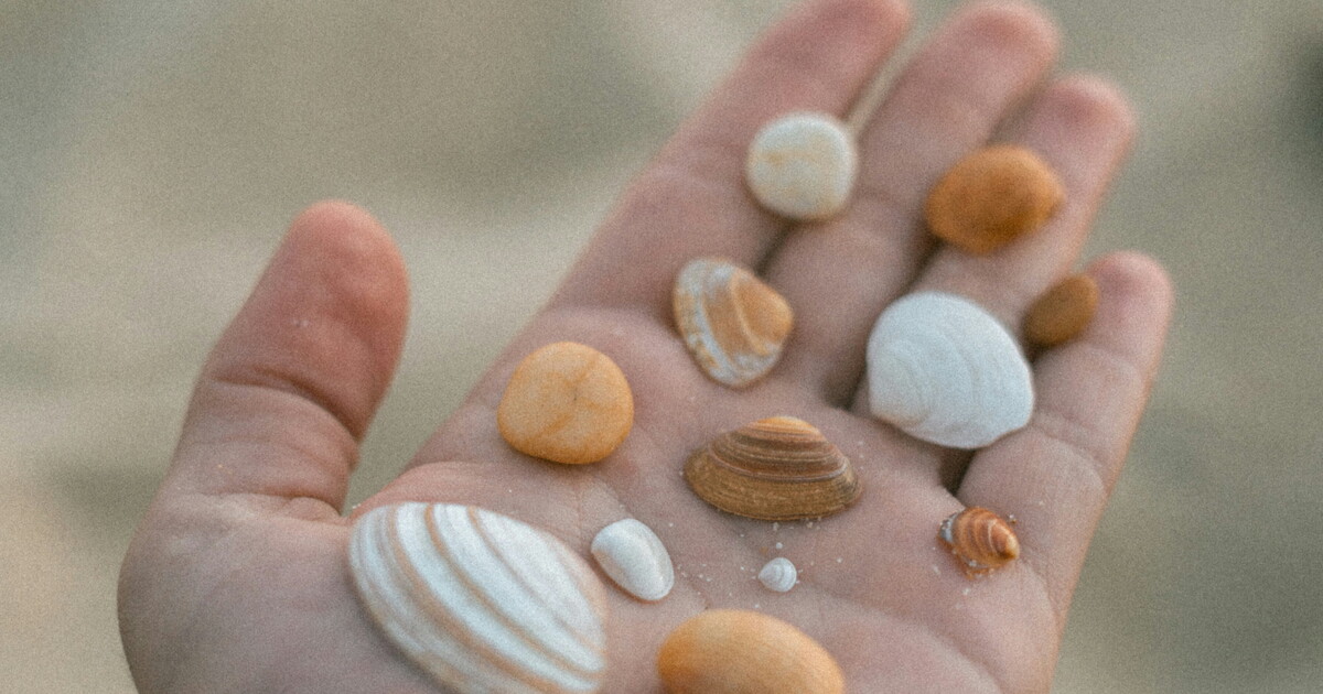 “Stintillìo” di conchiglie: la lingua (specie di un bambino) più che descrivere, illumina