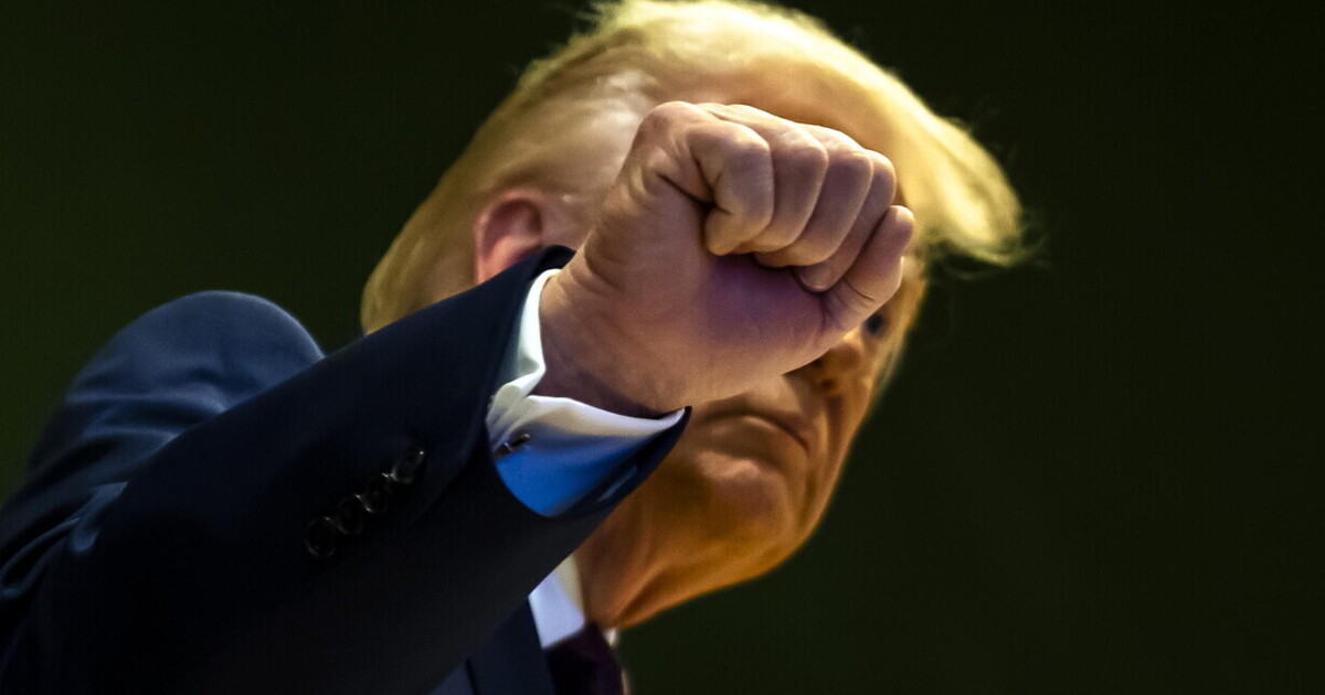 beati coloro che restano illesi dalla volgarit224 di trump da Ilfoglio.it beati coloro che restano illesi dalla volgarit224 di trump