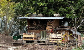 Stato etico a Palmoli? No, grazie. Questo scandalo deve finire