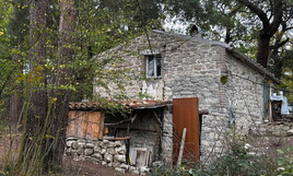 La maggioranza prepara un ddl ad hoc per la famiglia nel bosco, con un occhio alla propaganda