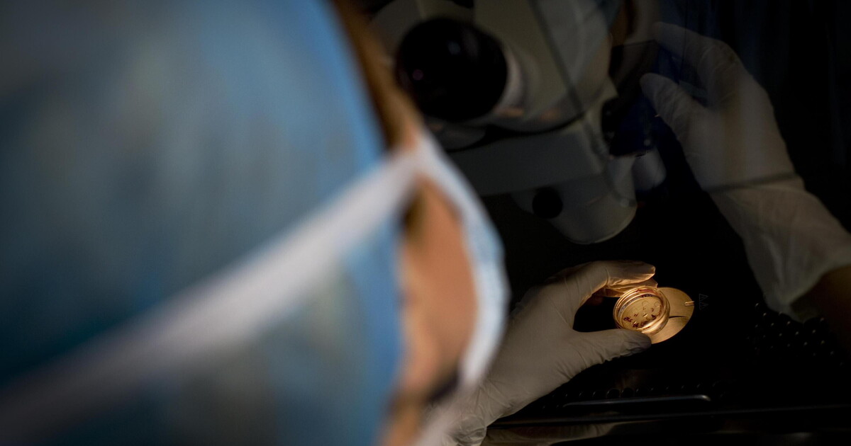 Cosa bolliva nelle pentole preistoriche di tutta Europa? Lo studio